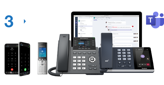 Hosted Network Wholesale VoIP Solutions 